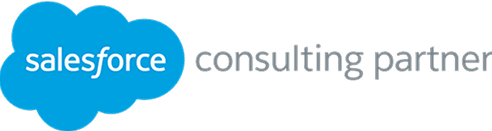 Salesforce Consulting Partner